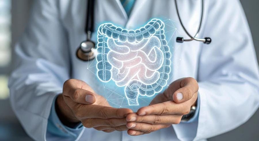 Peran Mikrobiota Usus dalam Memperkuat Imunitas Tubuh